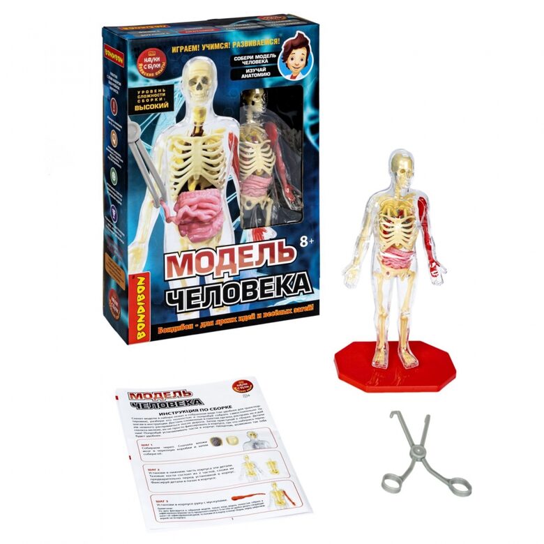 Izglītojoša spēle Cilvēka modelis