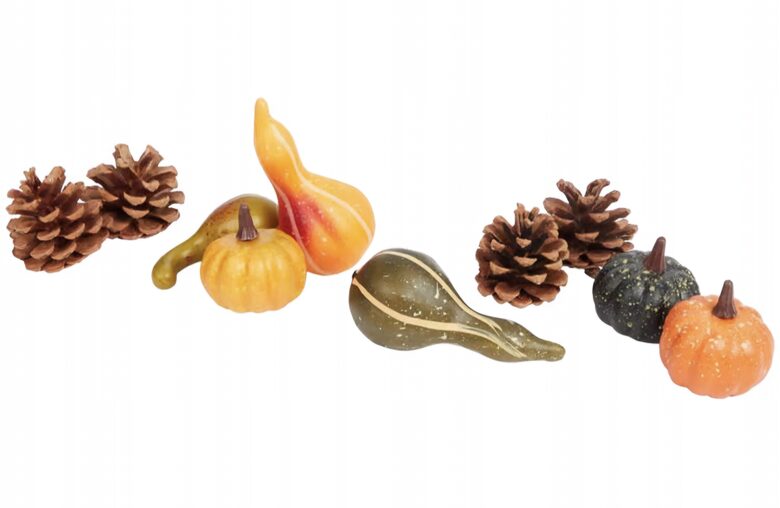 RUDENS ROTĀJUMI 10 GAB. ĶIRBJI, ČIEKURI