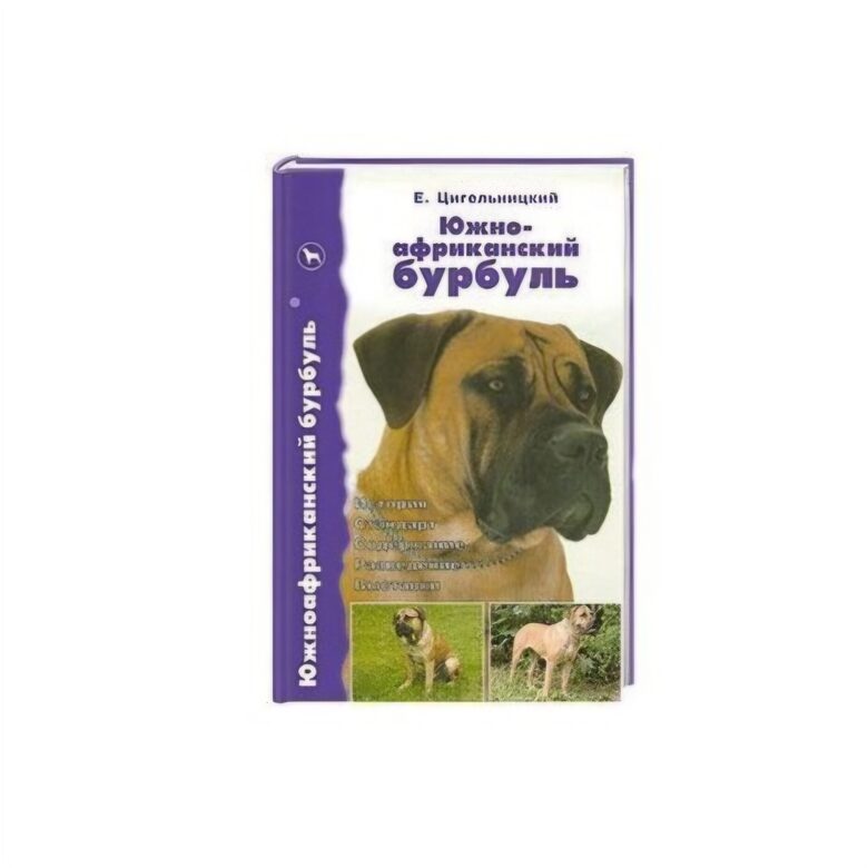 Dienvidāfrikas burbuls. Vēsture. Standarts. Kopšana. Audzēšana. Izstādes.