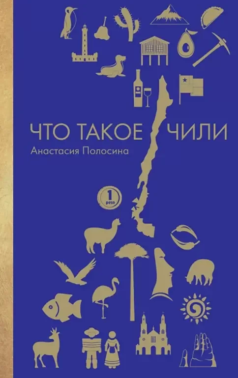 Что такое Чили: Анастасия Полосина