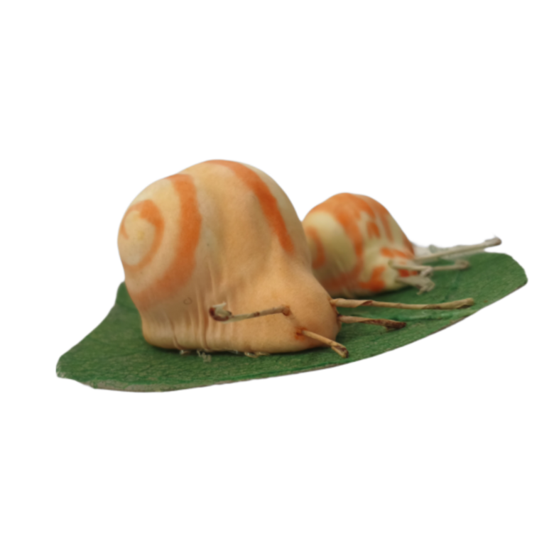 Флористический декор улитки 6 шт.
