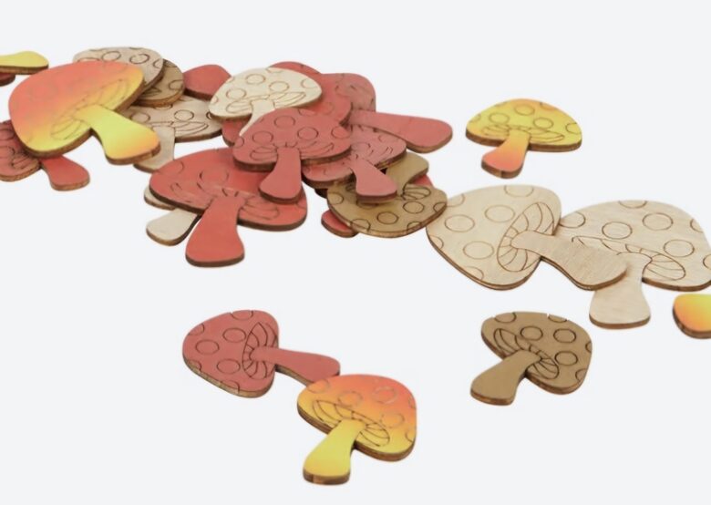 Koka daudzkrāsainas sēnes 35 gab.