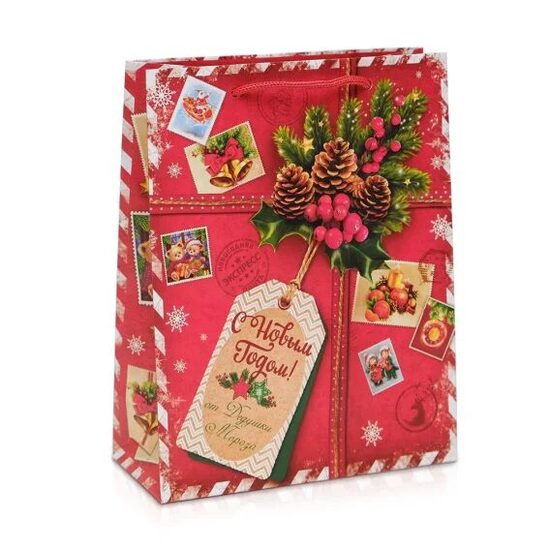 Dāvanu maisiņš - Dāvana no Ziemassvētku vecīša, laminēts, 18 x 23 x 11,5 cm