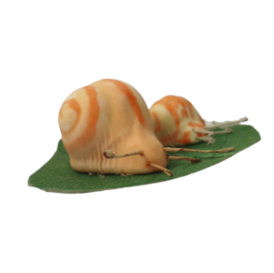 Ziedu dekors. Gliemeži 6 gab.